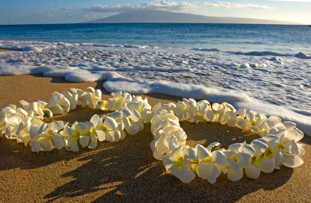 Aloha Vibes Await! Stylish Condo At Aloha Surf - Mountain And City Views Honolulu Kültér fotó